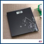 CAMRY Digital Weight Scale