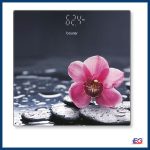 Beurer GS 215 Relax glass bathroom scale
